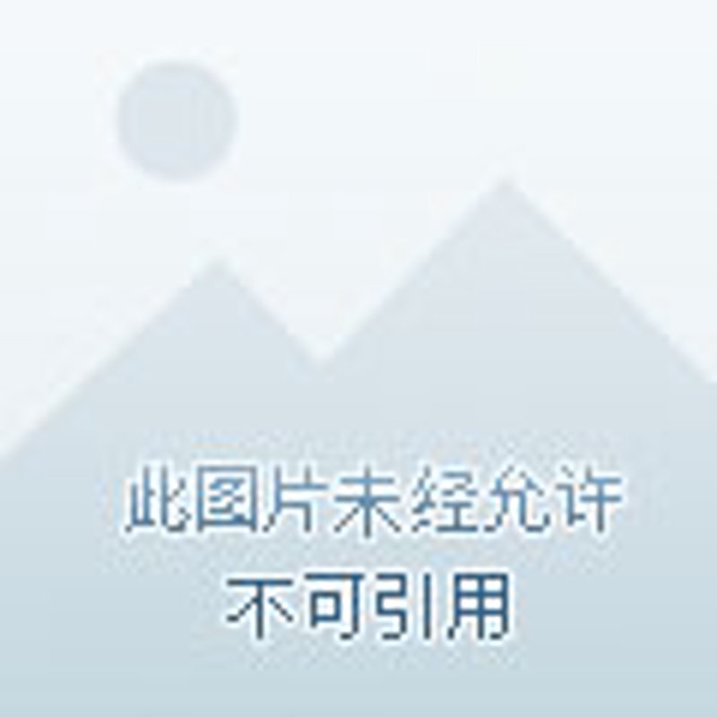 电子商务新时代：昌图经济发展的新引擎